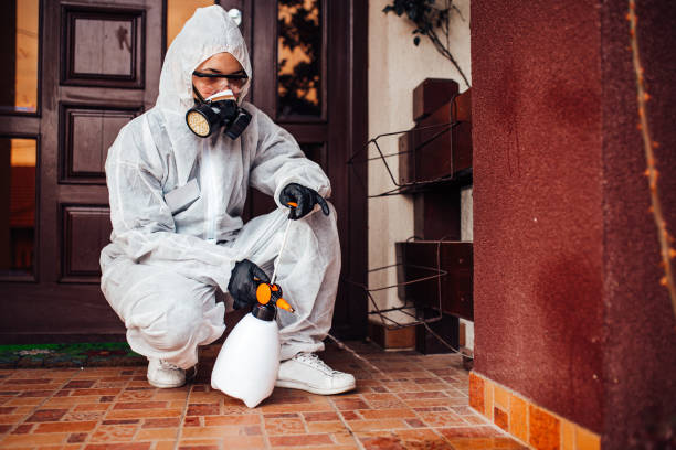 Reliable Wasp Removal contractor in Wyndham, VA by Show Me Pest Control