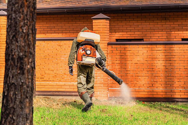 Top rated local Wasp Removal specialists in Wyndham, VA